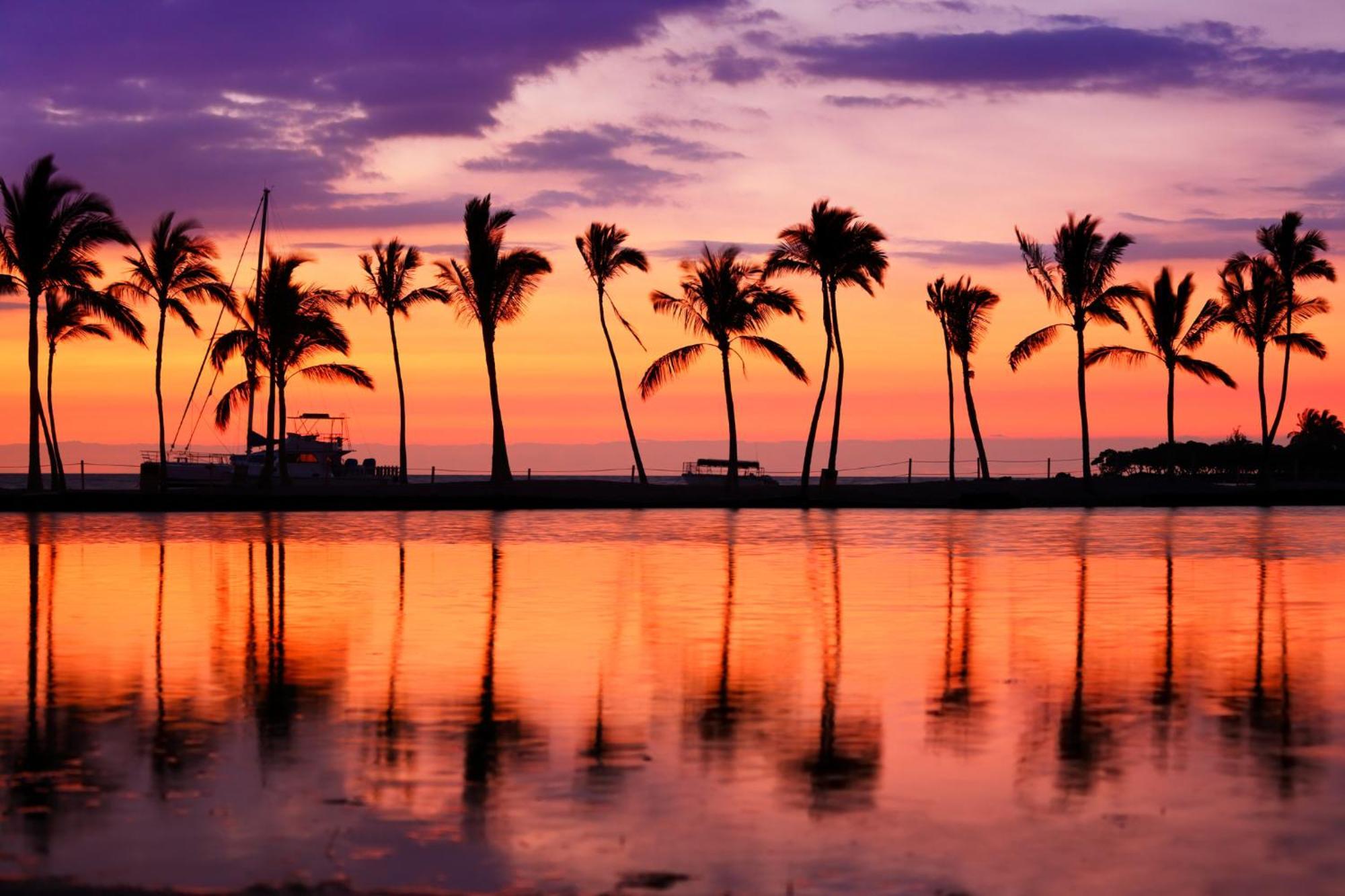 Waikiki Banyan 1Br With Great Ocean Views, Steps To Beach & Parking! Honolulu Buitenkant foto